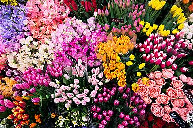 《无人深空》万圣节主题更新 新增内容大幅优化